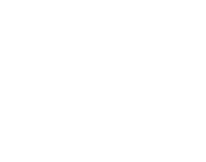 Visual Workflow Systems logo